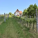 Macskafeszek Vendeghaz Ferienhaus Kissomlyo