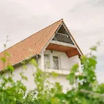 Macskafeszek Vendeghaz Feriehus