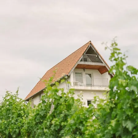 Macskafeszek Vendeghaz Holiday home Kissomlyo