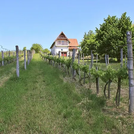 Macskafeszek Vendeghaz Holiday home Kissomlyo