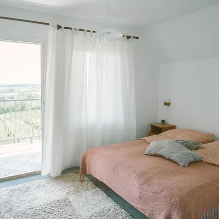 Feriehus Macskafeszek Vendeghaz Kissomlyo