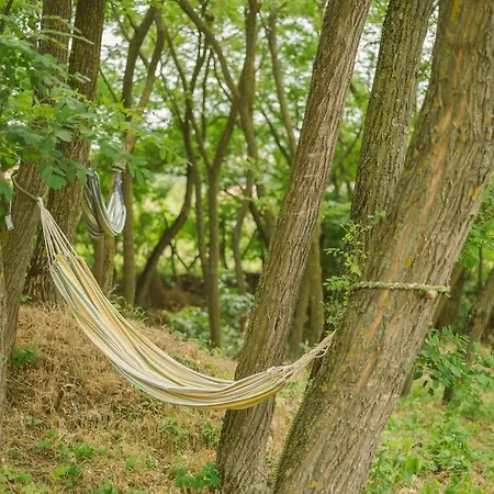 Hébergement de vacances Macskafészek *