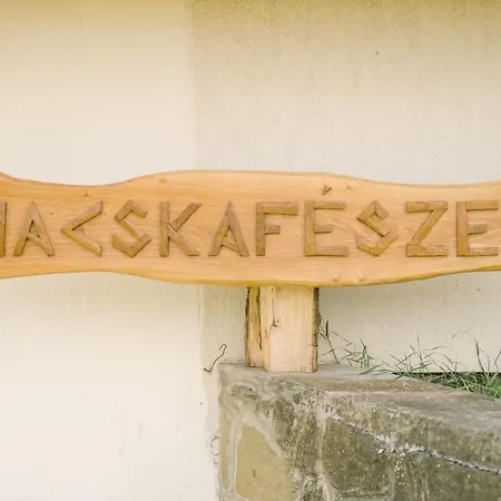 Macskafeszek Vendeghaz Holiday home