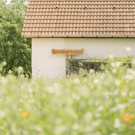 Feriehus Macskafeszek Vendeghaz Kissomlyo