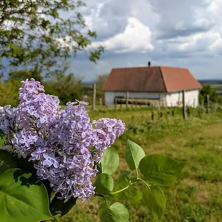Ferienhaus Macskafeszek Vendeghaz