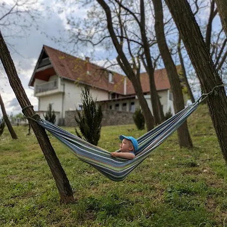 Macskafeszek Vendeghaz Ferienhaus *