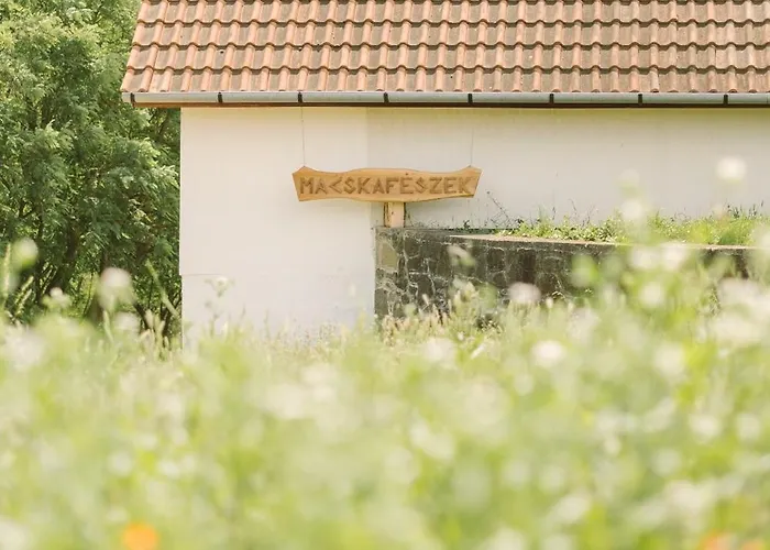Prázdninový dům Macskafeszek Vendeghaz Kissomlyo